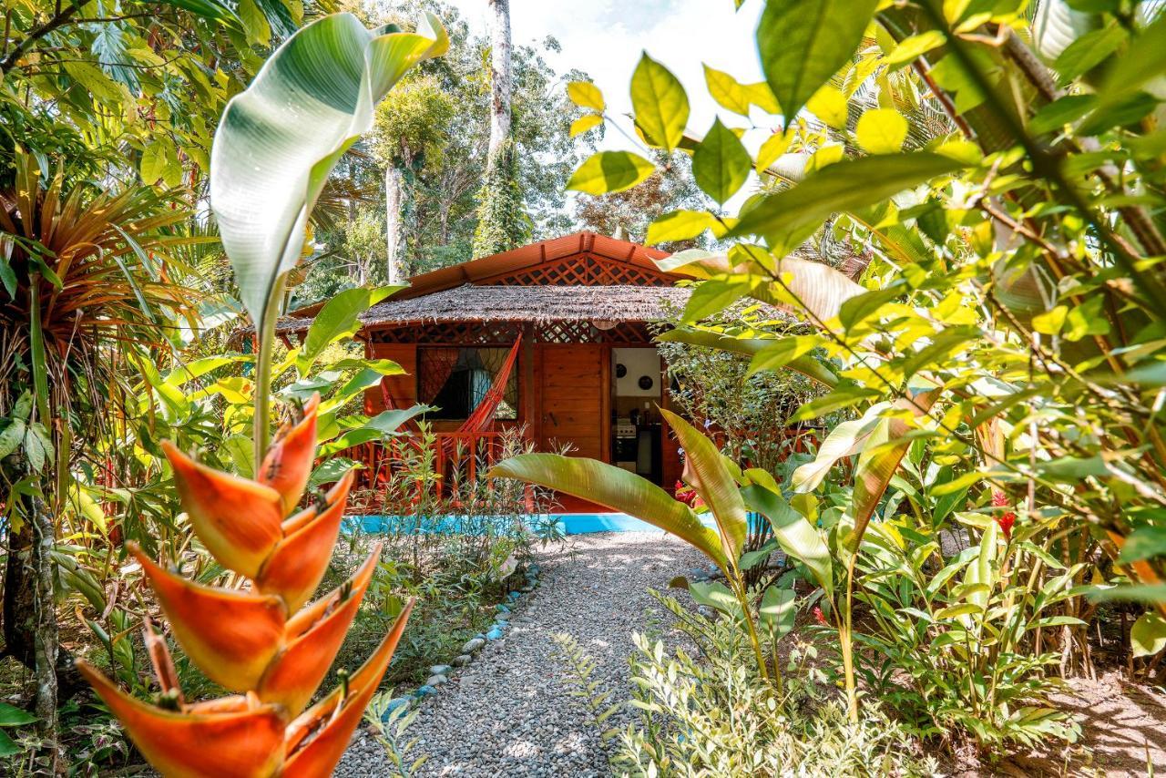 Casitas Las Flores Puerto Viejo de Talamanca Экстерьер фото