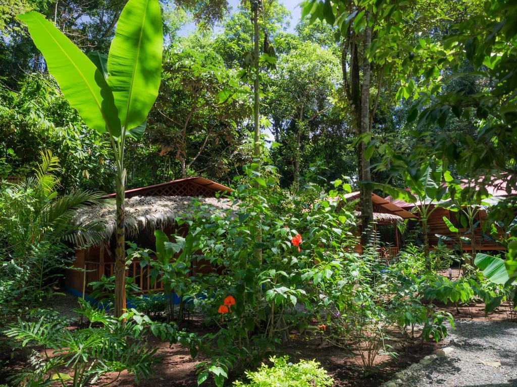 Casitas Las Flores Puerto Viejo de Talamanca Экстерьер фото