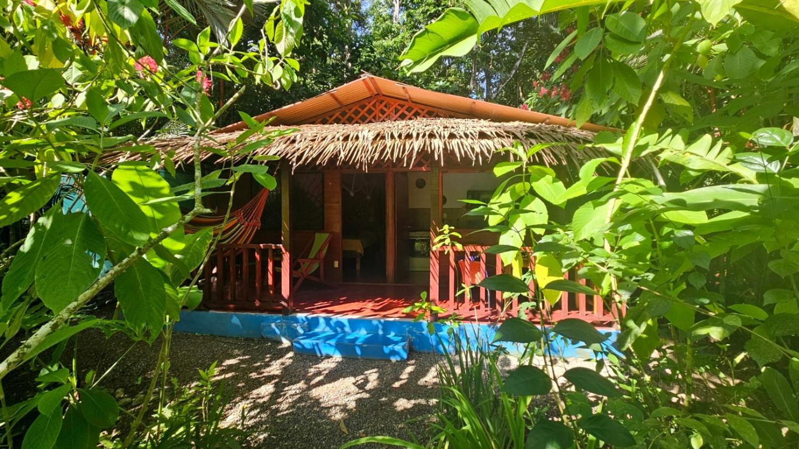 Casitas Las Flores Puerto Viejo de Talamanca Экстерьер фото
