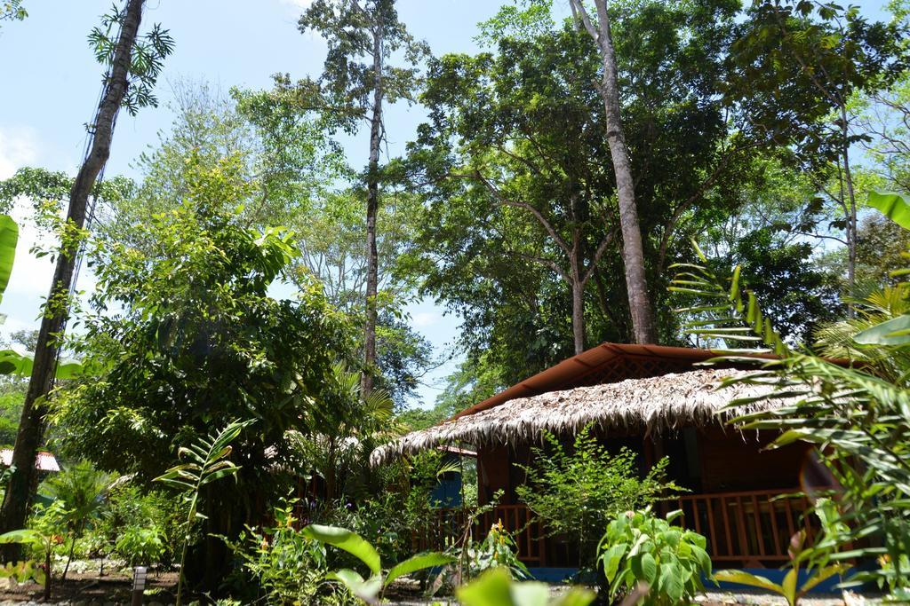 Casitas Las Flores Puerto Viejo de Talamanca Экстерьер фото