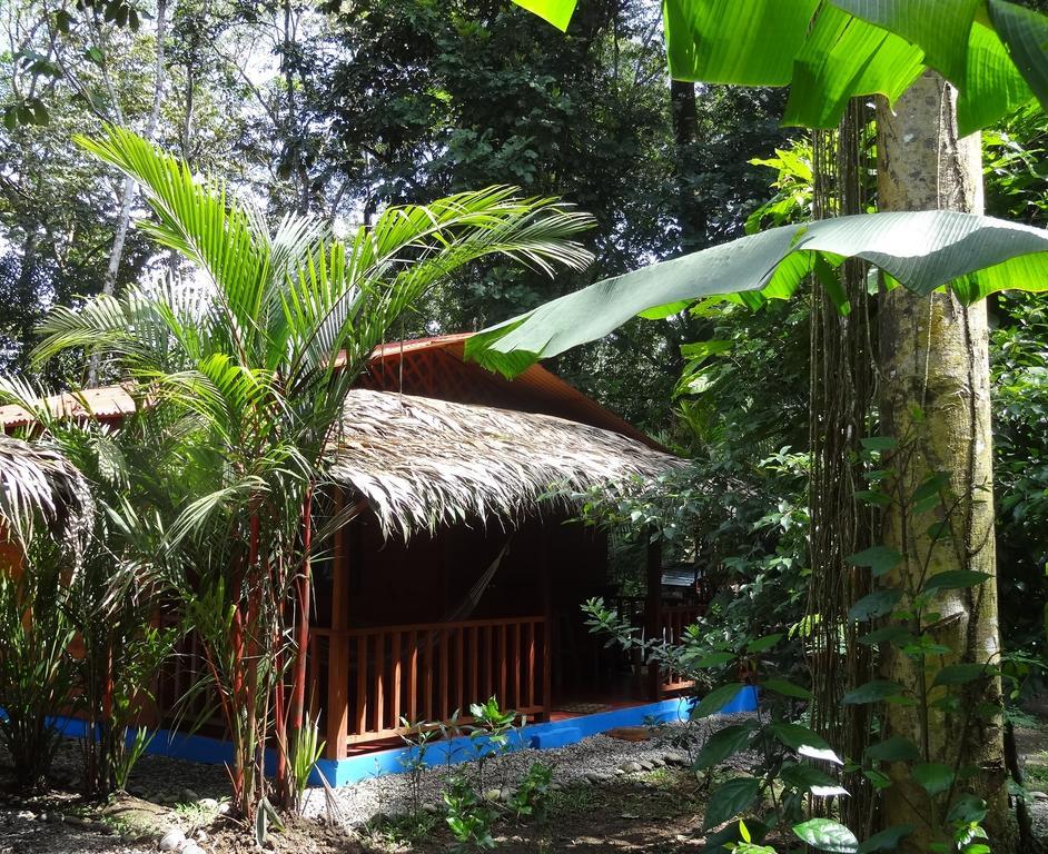 Casitas Las Flores Puerto Viejo de Talamanca Экстерьер фото