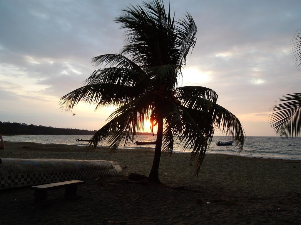 Casitas Las Flores Puerto Viejo de Talamanca Экстерьер фото