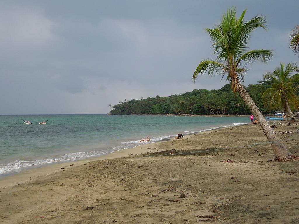 Casitas Las Flores Puerto Viejo de Talamanca Экстерьер фото