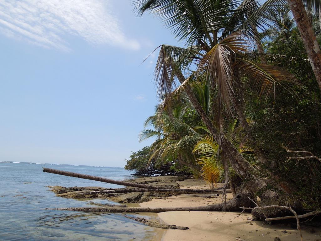 Casitas Las Flores Puerto Viejo de Talamanca Экстерьер фото