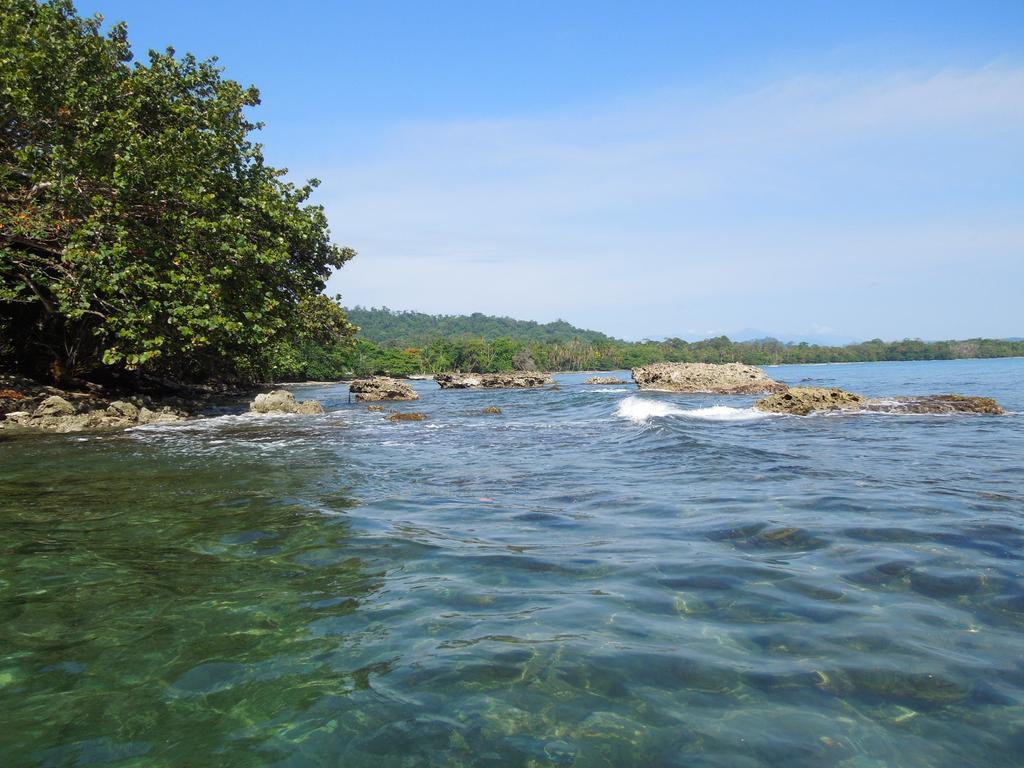 Casitas Las Flores Puerto Viejo de Talamanca Экстерьер фото