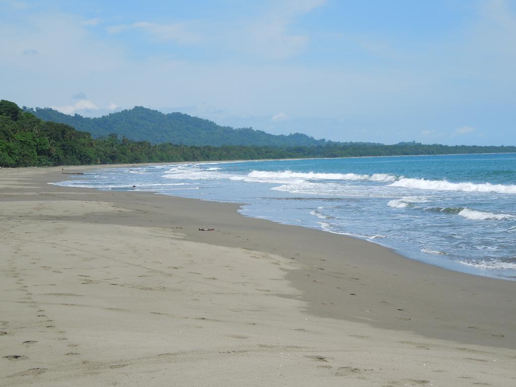 Casitas Las Flores Puerto Viejo de Talamanca Экстерьер фото